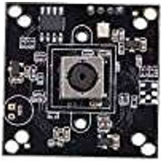 Freewriting With Purpose