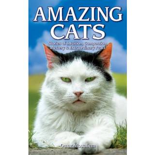 Amazing Cats