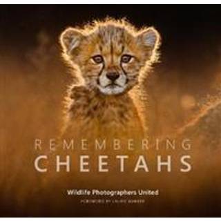 Remembering Cheetahs