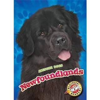 Newfoundlands