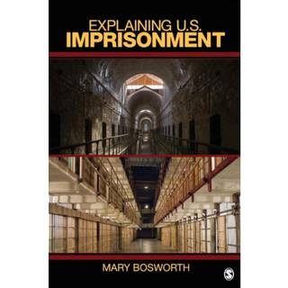 Explaining U.S. Imprisonment