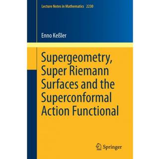Supergeometry, Super Riemann Surfaces and the Superconformal Action Functional