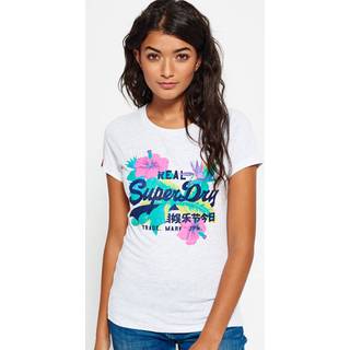 The American Army and the First World War