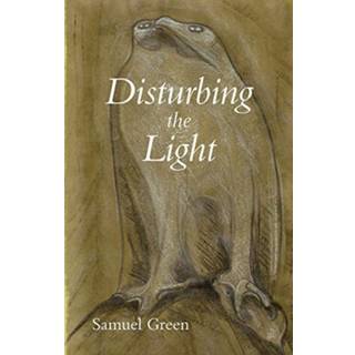 Disturbing the Light