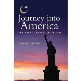Journey into America