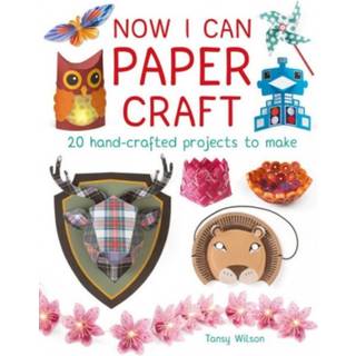 Now I Can Paper Craft: 20 Hand-Crafted Projects to Make