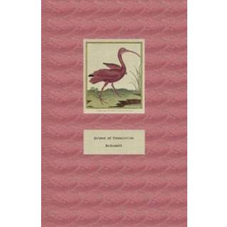 Hatred of Translation