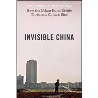 The Invisible China
