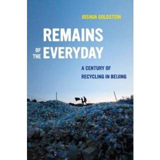 Remains of the Everyday