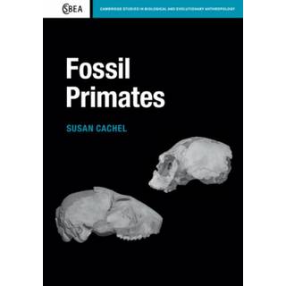 Fossil Primates