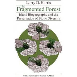 The Fragmented Forest