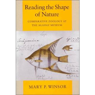 Reading the Shape of Nature