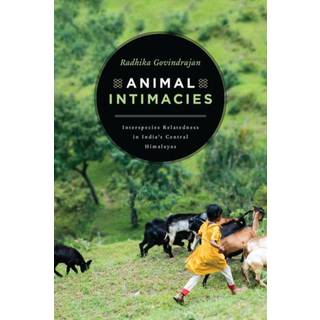 Animal Intimacies