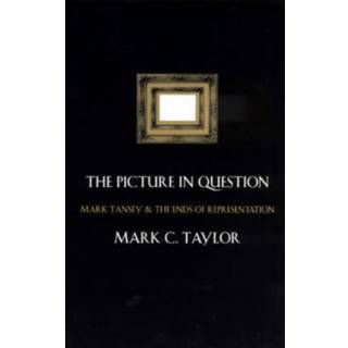 The Picture in Question