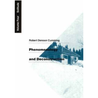Phenomenology and Deconstruction, Volume Four