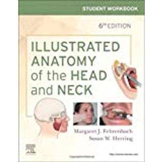 Student Workbook for Illustrated Anatomy of the Head and Neck