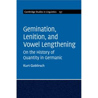 Gemination, Lenition, and Vowel Lengthening