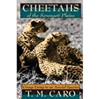 Cheetahs of the Serengeti Plains