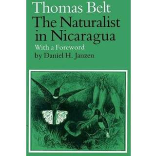 Naturalist in Nicaragua