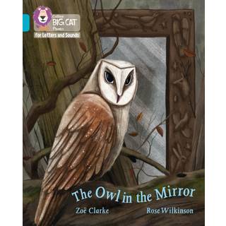 The Owl in the Mirror