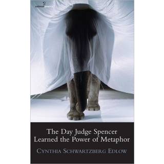 The Day Judge Spencer Learned the Power of Metaphor