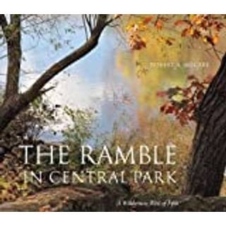 The Ramble in Central Park
