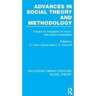 Advances in Social Theory and Methodology (RLE Social Theory)