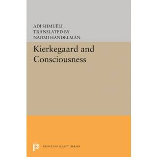 Kierkegaard and Consciousness