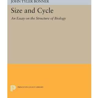 Size and Cycle