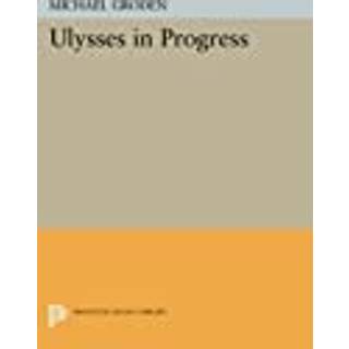 ULYSSES in Progress