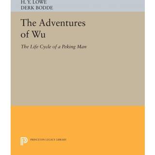 The Adventures of Wu