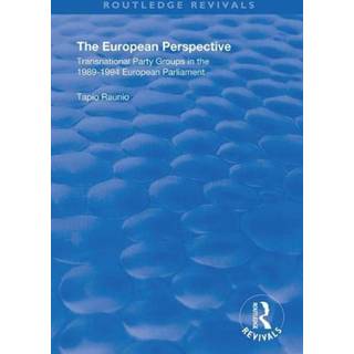 The European Perspective