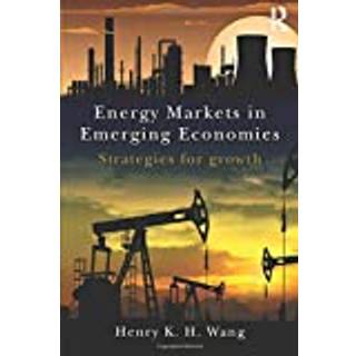 Energy Markets in Emerging Economies