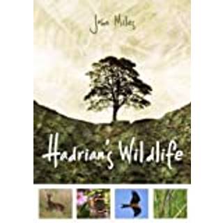 Hadrian's Wildlife