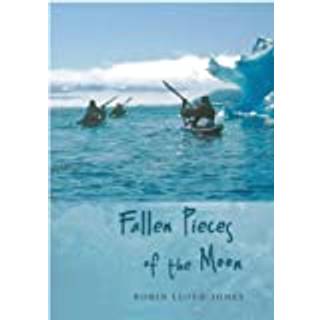 Fallen Pieces of the Moon