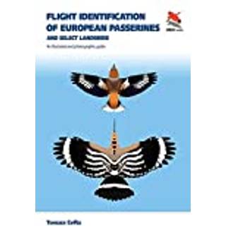 Flight Identification of European Passerines and Select Landbirds