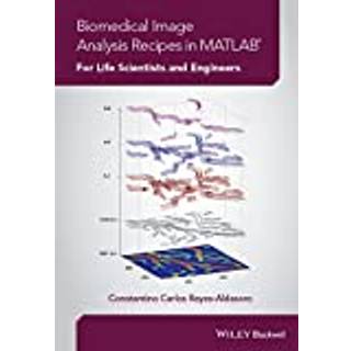 Biomedical Image Analysis Recipes in MATLAB
