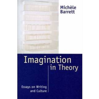 Imagination in Theory