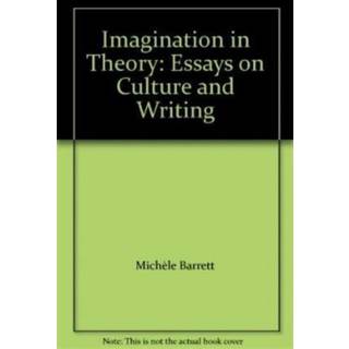 Imagination in Theory