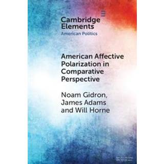 American Affective Polarization in Comparative Perspective