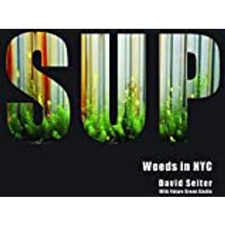 Spontaneous Urban Plants