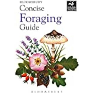 Concise Foraging Guide