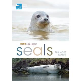 RSPB Spotlight Seals