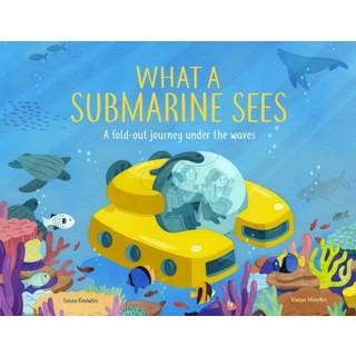 What a Submarine Sees