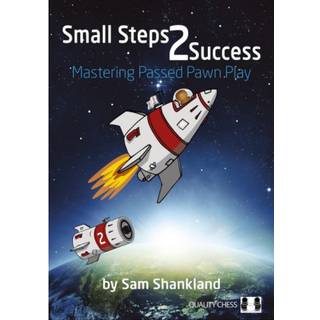 Small Steps 2Succes (Paperback)