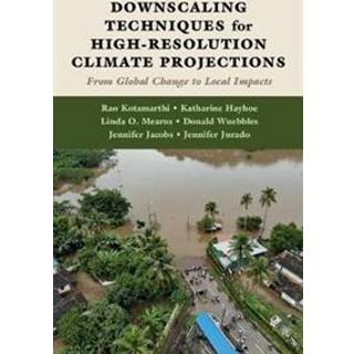 Downscaling Techniques for High-Resolution Climate Projections