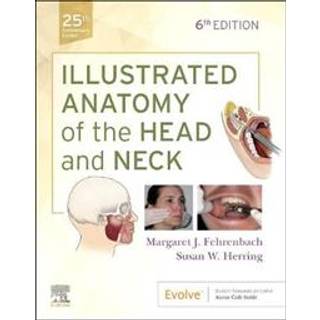 Illustrated Anatomy of the Head and Neck