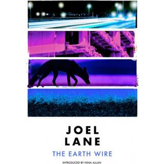 The Earth Wire