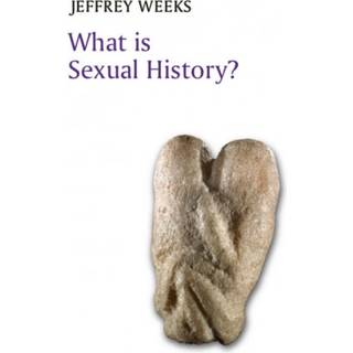 What is Sexual History?