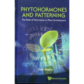 Phytohormones And Patterning: The Role Of Hormones In Plant Architecture